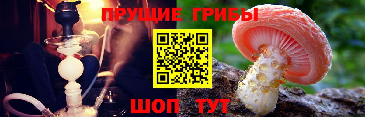 Псилоцибиновые грибы мухоморы  Вход с VPN  Учалы 